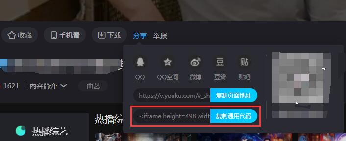 wordpress文章中如何添加视频-seo教程,第三方视频代码框架代码,wordpress文章中如何添加视频,第9张