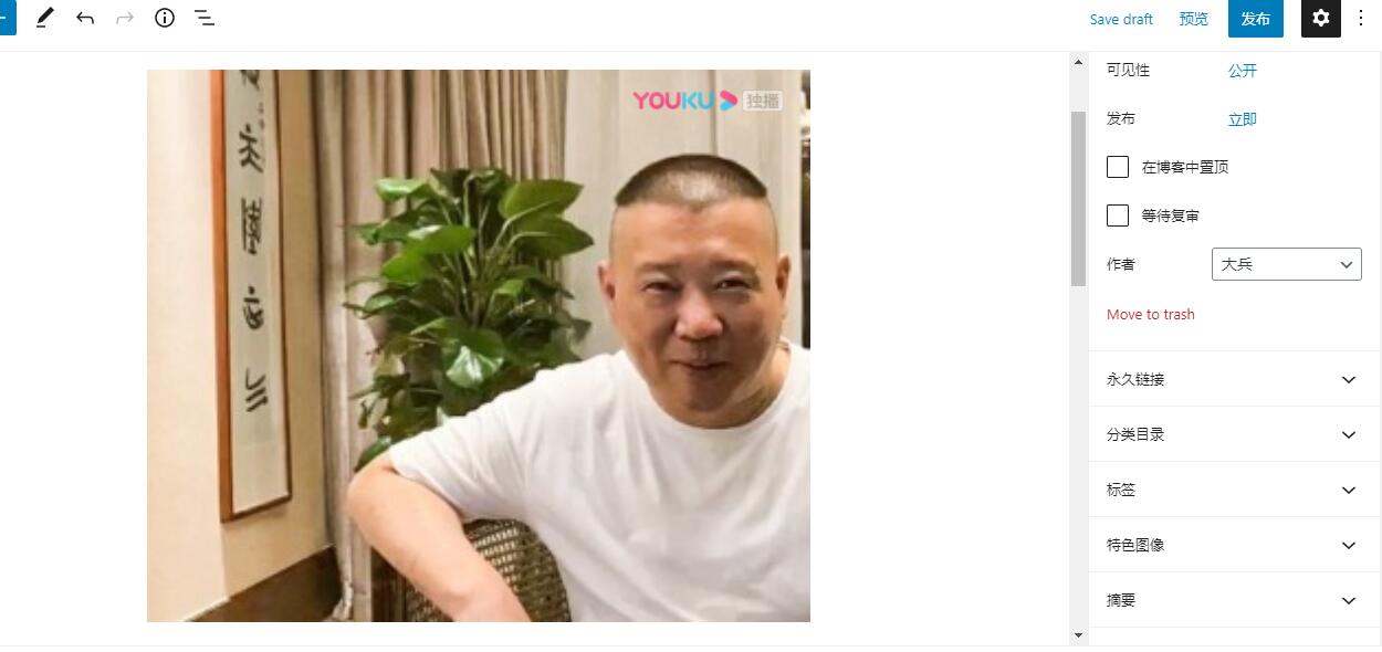 wordpress文章中如何添加视频-seo教程,第三方视频代码调用插入成功界面,wordpress文章中如何添加视频,第13张