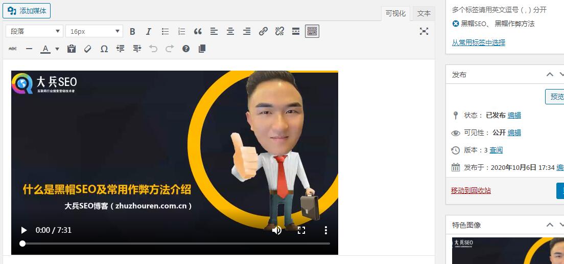 wordpress文章中如何添加视频-seo教程,经典编辑器上传本地视频,wordpress文章中如何添加视频,第15张