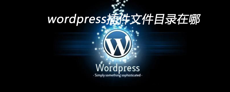 wordpress插件目录在哪个文件夹-seo教程