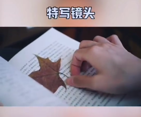 提升短视频作品质量,镜头与构图的运用-seo教程,特写镜头,提升短视频作品质量,镜头与构图的运用,第7张