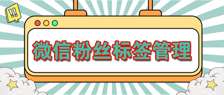 私域流量运营之微信人设与标签管理-seo教程
