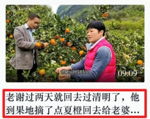 视频标题怎么写最吸引人?学好这三个方法-seo教程,负面案例：标题字数过长,视频标题怎么写最吸引人?学好这三个方法,第9张
