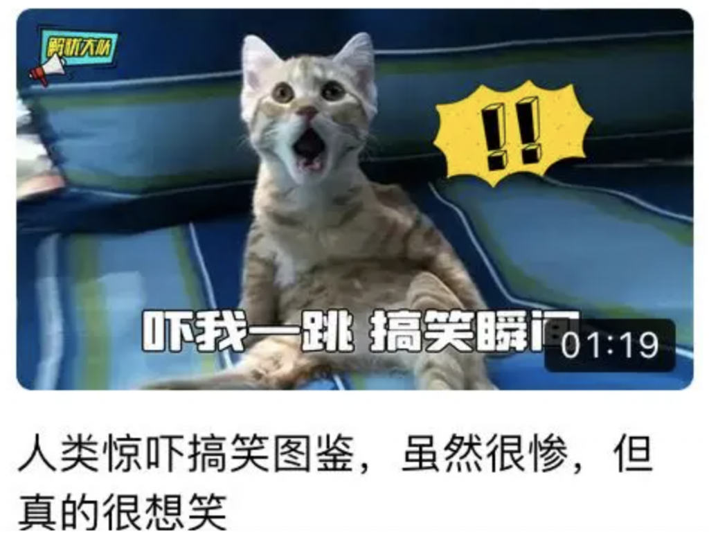 视频标题的进阶指南,增加趣味性,引导性,时效性-seo教程