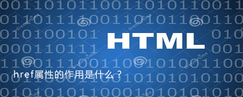 href属性的作用是什么-seo教程