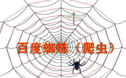 造成百度蜘蛛抓取异常的常见原因有哪些?-seo教程