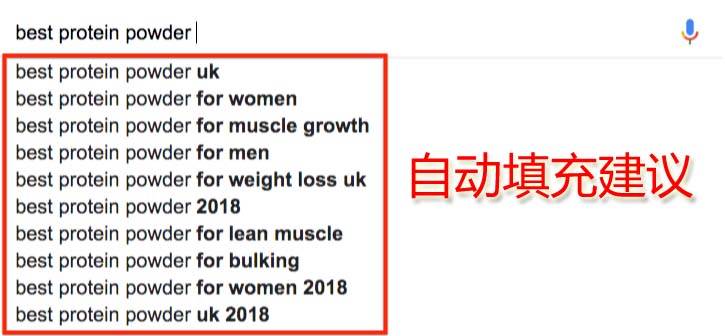 外贸自建站谷歌SEO优化,如何寻找高流量长尾关键词-seo教程,谷歌搜索自动填充建议,外贸自建站谷歌SEO优化,如何寻找高流量长尾关键词,第15张