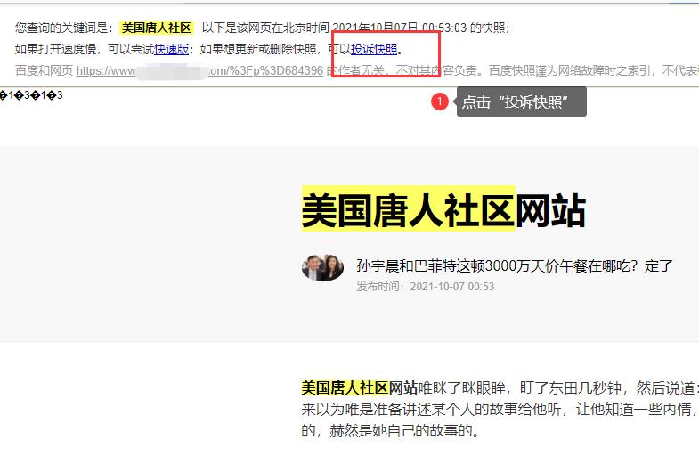 PC端和移动端网页快照被劫持的处理方法-seo教程,投诉百度快照,PC端和移动端网页快照被劫持的处理方法,第9张