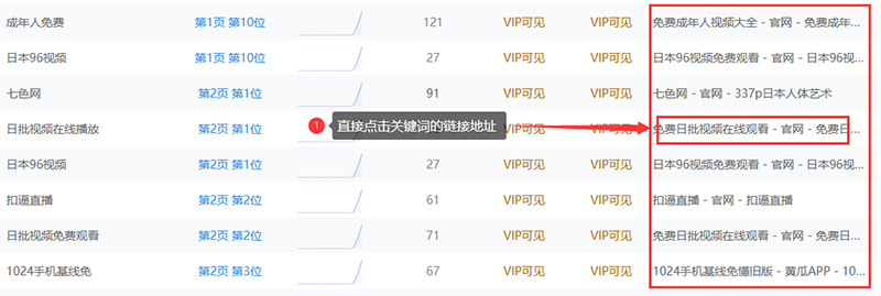 PC端和移动端网页快照被劫持的处理方法-seo教程,点击关键词的实际网页地址,PC端和移动端网页快照被劫持的处理方法,第23张