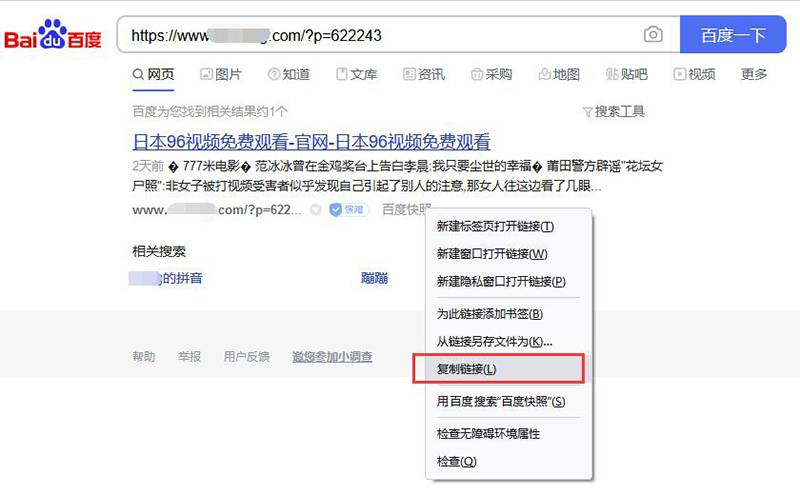 PC端和移动端网页快照被劫持的处理方法-seo教程,百度搜索网页关键词url地址,PC端和移动端网页快照被劫持的处理方法,第25张