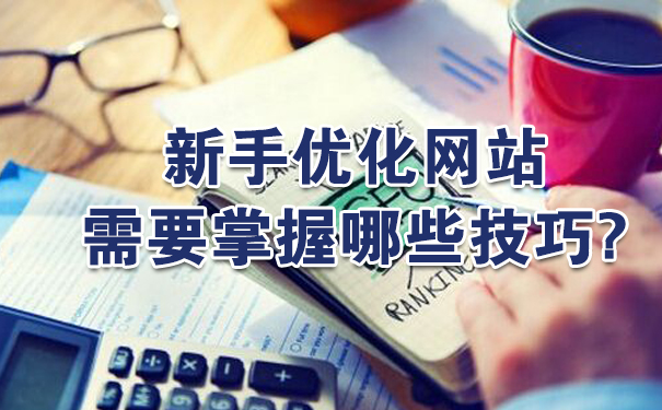 新手使用SEO优化网站需要掌握哪些技巧?-seo教程