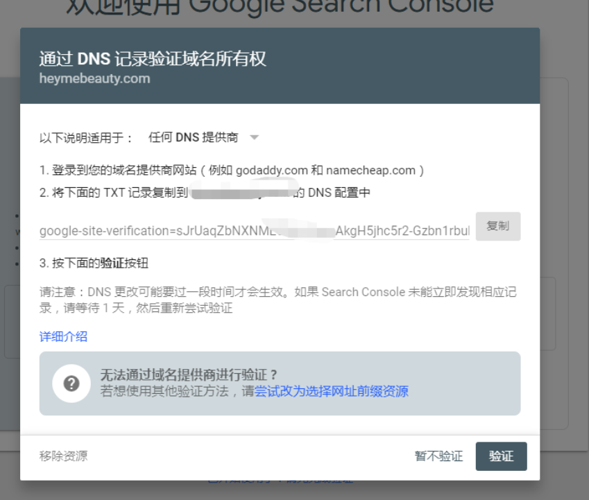 SEO教程 | Google谷歌站长工具使用教程-seo教程,通过DNS记录验证域名所有权,SEO教程,第5张
