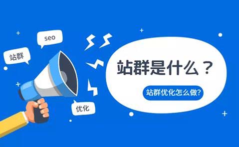 站群网站SEO优化方法及盈利模式(1)-seo教程