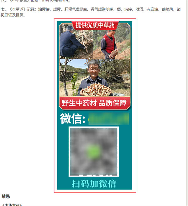 做网站，还是大有可为！-小编推荐