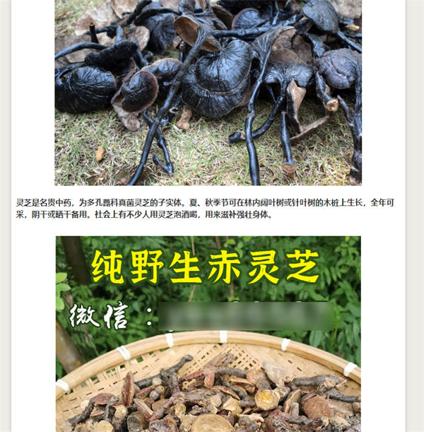 做网站，还是大有可为！-小编推荐