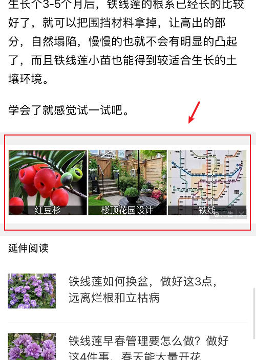 学会看广告，不仅能发现商机还能提升认知！-小编推荐
