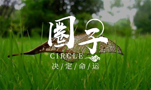为什么你总是被别人割韭菜？-小编推荐