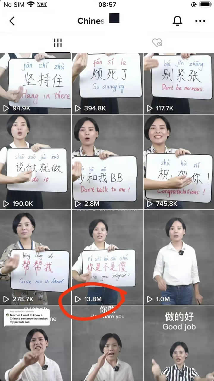 蓝海项目：在Tiktok上教老外学中文-小编推荐