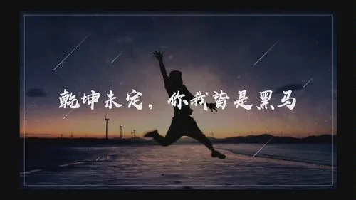乾坤未定你我皆是黑马-小编推荐