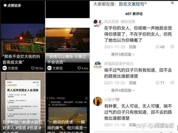 分享一个抖音文案号的项目-小编推荐