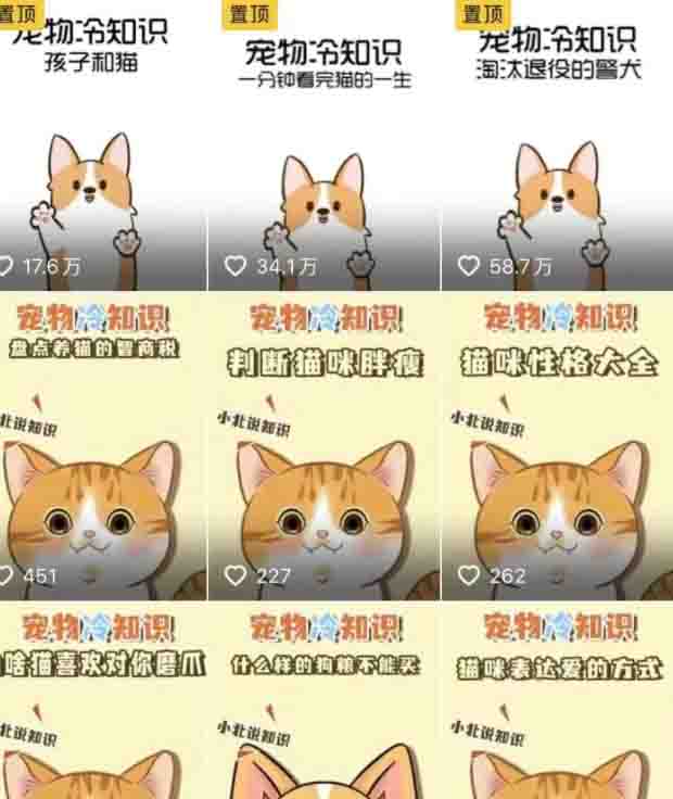 低成本宠物项目，单天利润三五百-小编推荐