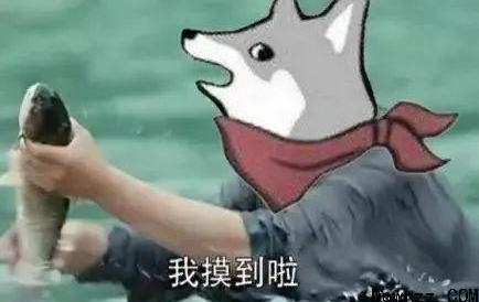 摸鱼神器Loaf+网页版-小编推荐