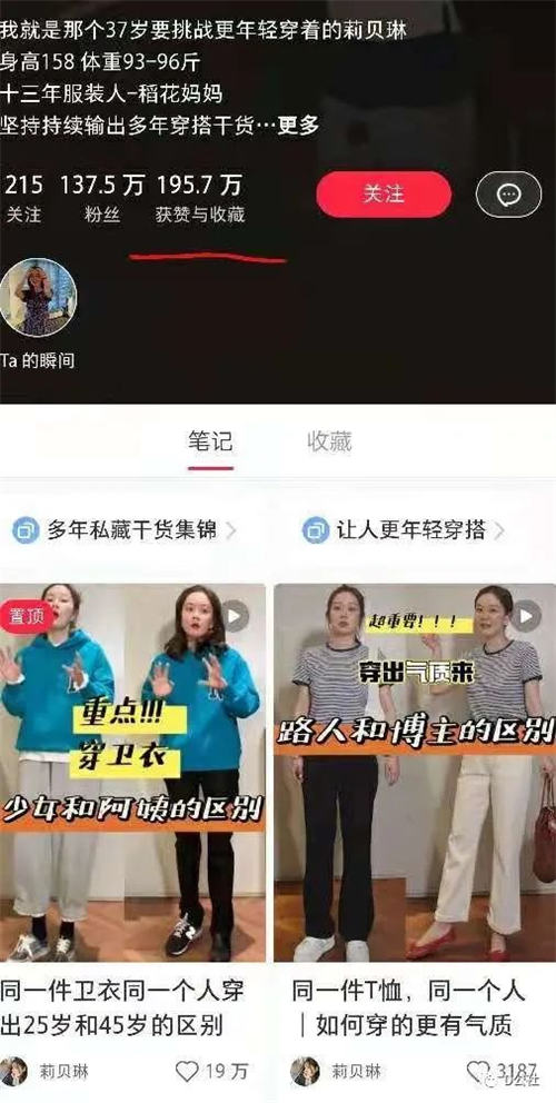 小红书自媒体流量变现项目介绍-小编推荐