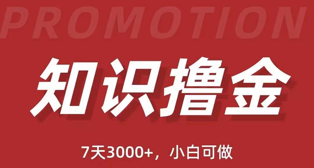 抖音知识撸金项目简单暴力日入1000+-小编推荐