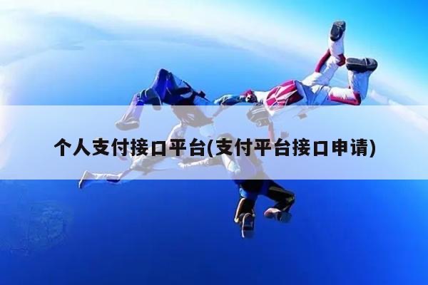 个人支付接口平台(网站支付平台接口申请)-小编推荐