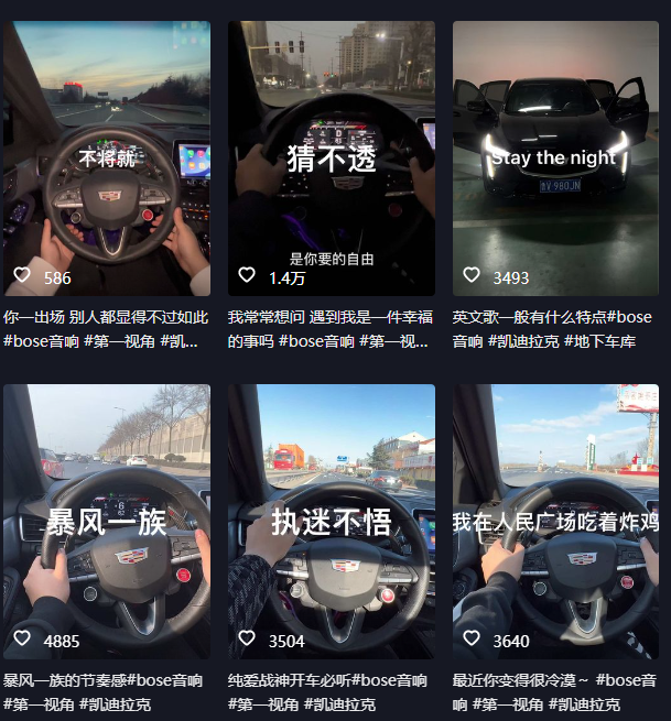抖音开车视频项目，0基础操作，每天五分钟，月入1W+-小编推荐