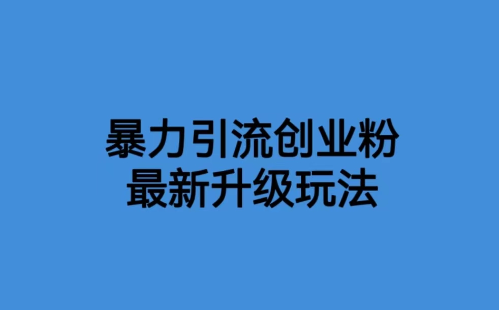 价值1980一千个野路子暴力引流最新升级玩法-小编推荐