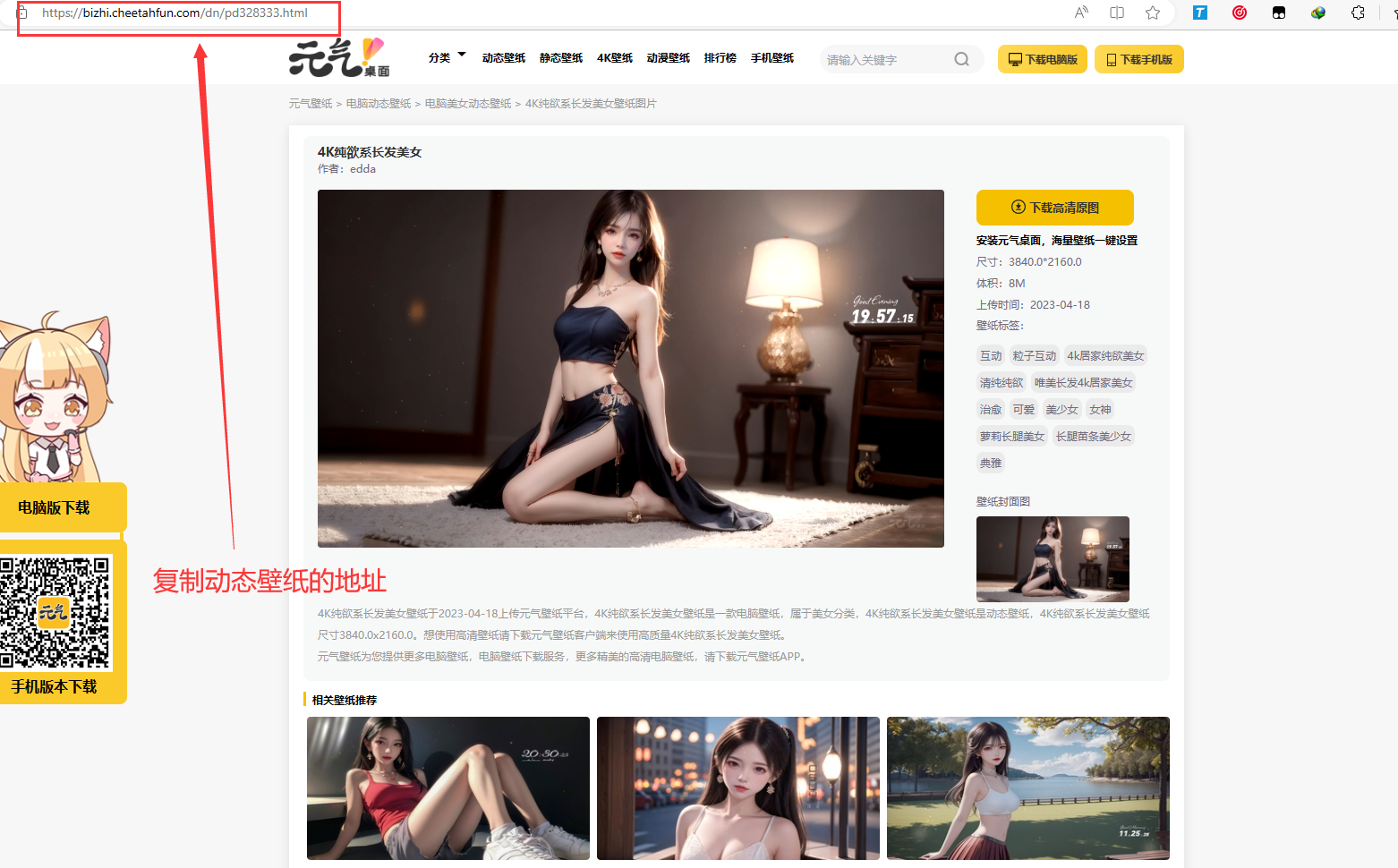 PHP电脑元气动态壁纸在线下载源码-小编推荐