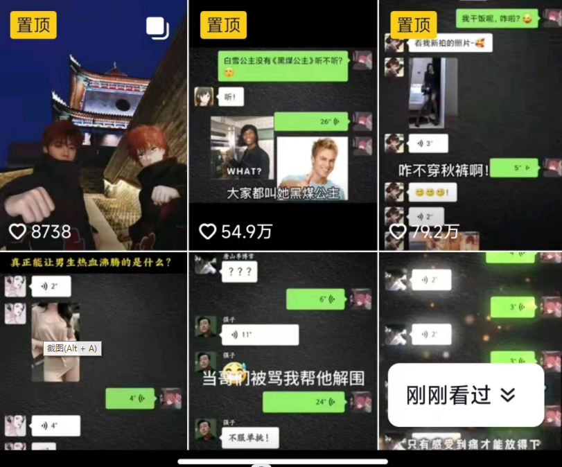 抖音搞笑对话项目详解-涨粉快作品简单，小白轻松上手-小编推荐