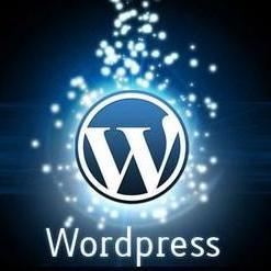 WordPress插件–百度快速提交插件 加速百度爬虫和收录-支持手动和批量提交-小编推荐