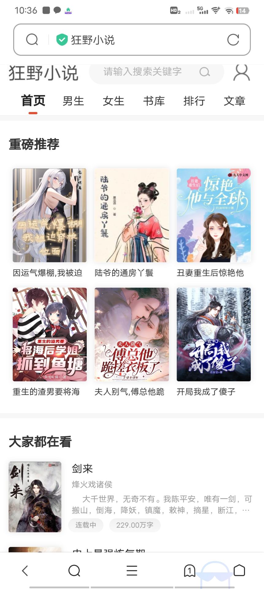 小说网站源码带管理后台手机端和采集-小编推荐