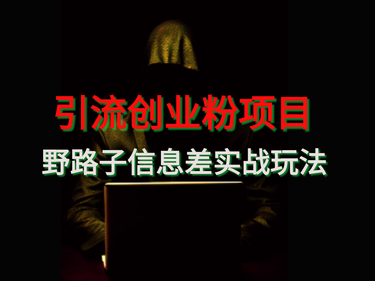 【引流创业粉】 野路子信息差玩法实战教学-小编推荐