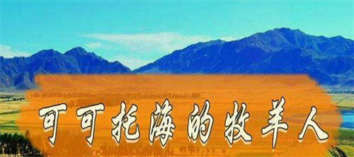 介绍几种项目，一个人就能开干那种-小编推荐