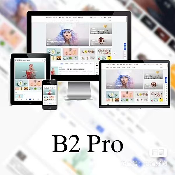 WordPress B2 Pro 主题5.2.0最新开心版,附带官方包体与授权文件-小编推荐