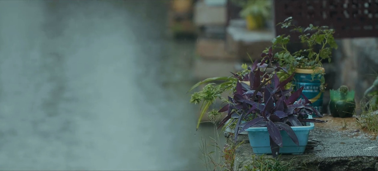 短视频热门素材——江南古风风景视频-小编推荐