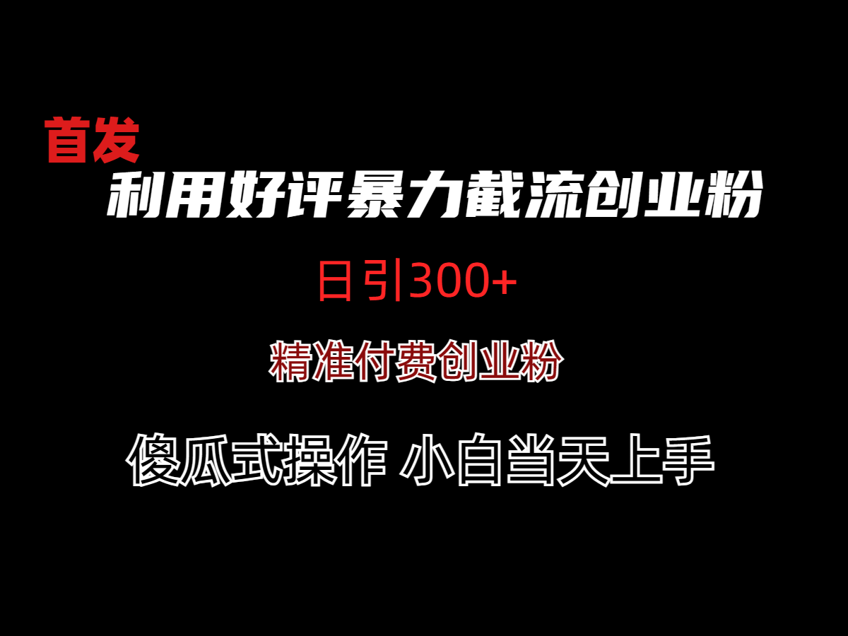 利用好评暴力截流创业粉(日引300+)-小编推荐