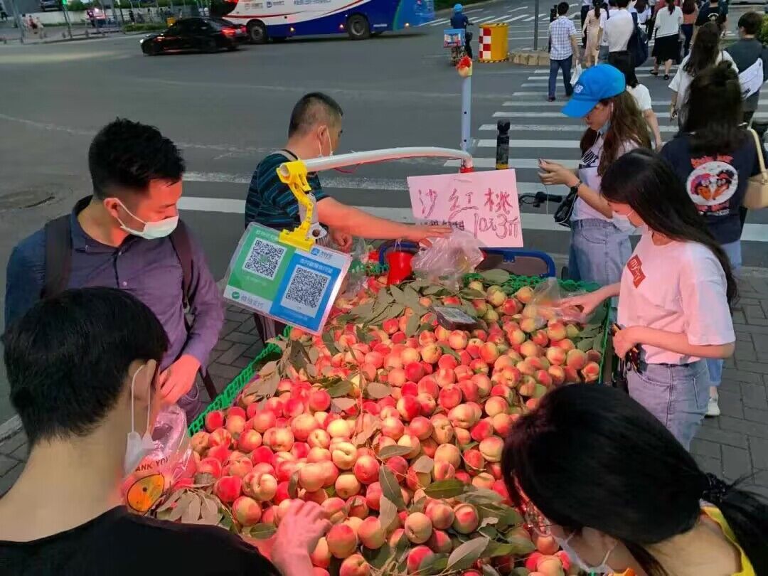 支付宝免费领经营版商家收款码-小编推荐
