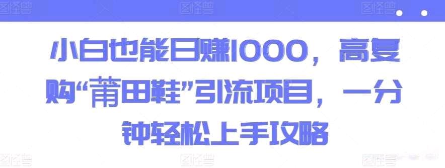 小白也能日赚1000，高复购“莆田鞋”引流项目，一分钟轻松上手攻略-小编推荐