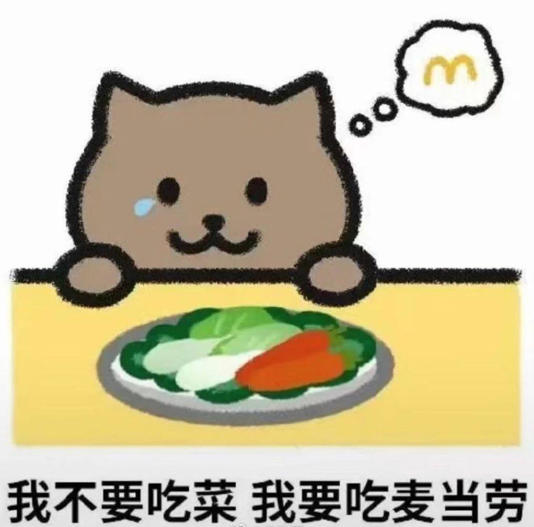 胖猫跳江去世，5个意想不到-小编推荐
