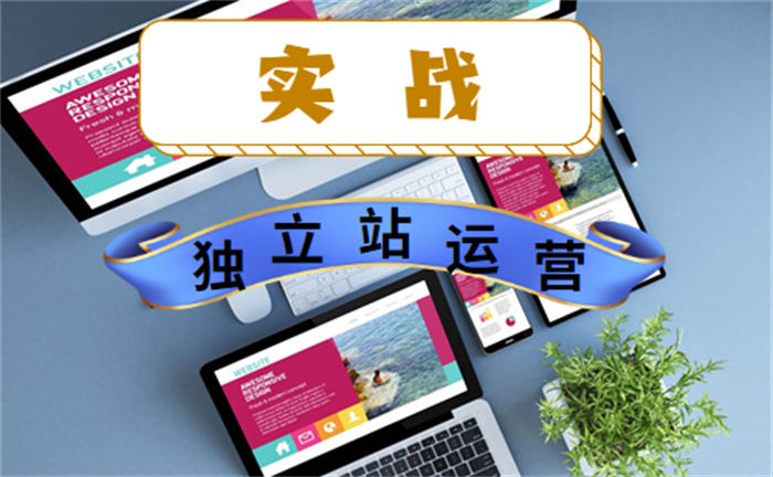 日IP量1600+，年赚百万，揭秘独立站运营项目的5个关键点！-小编推荐