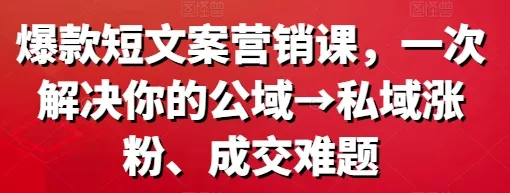 爆款短文案营销课 一次解决你的公域 私域涨粉、成交难题-小编推荐