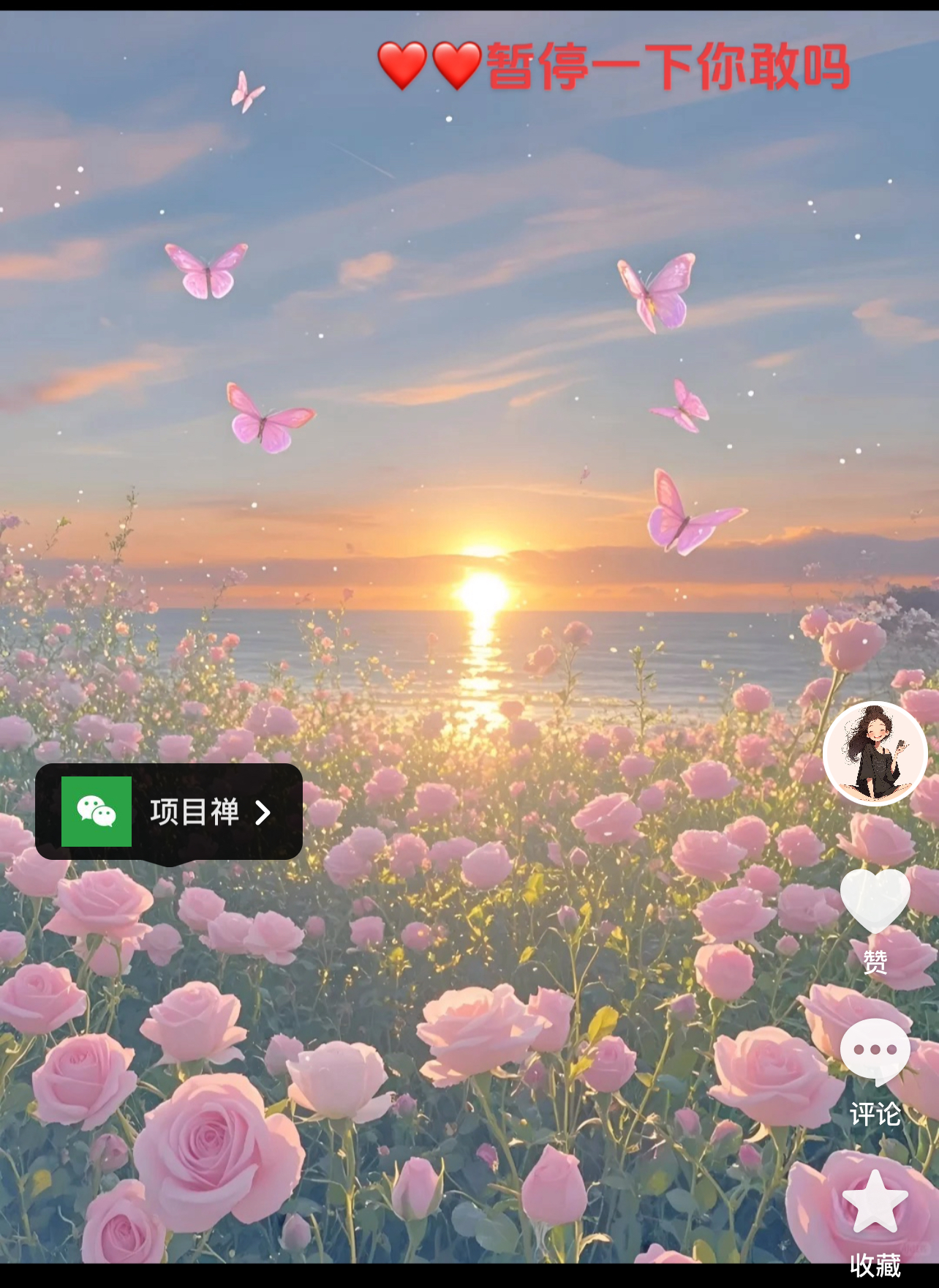 外面卖299的 抖音暂停弹出微信截流教程拆解-小编推荐
